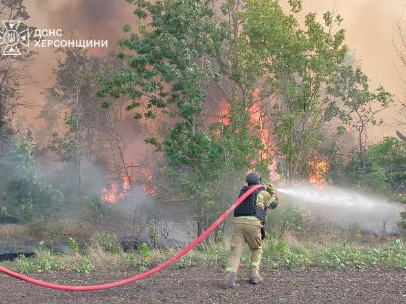 Через ворожі обстріли на Херсонщині вигоріли гектари сухостою