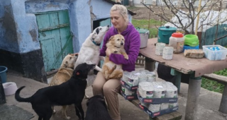 Ворон і десятки собак та котів: історія жительки Херсонщини, чий будинок став прихистком для покинутих тварин