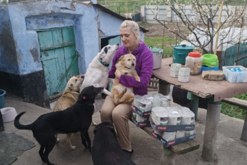 Ворон і десятки собак та котів: історія жительки Херсонщини, чий будинок став прихистком для покинутих тварин
