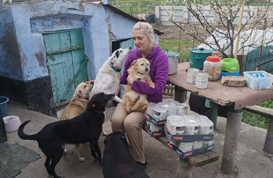 Ворон і десятки собак та котів: історія жительки Херсонщини, чий будинок став прихистком для покинутих тварин