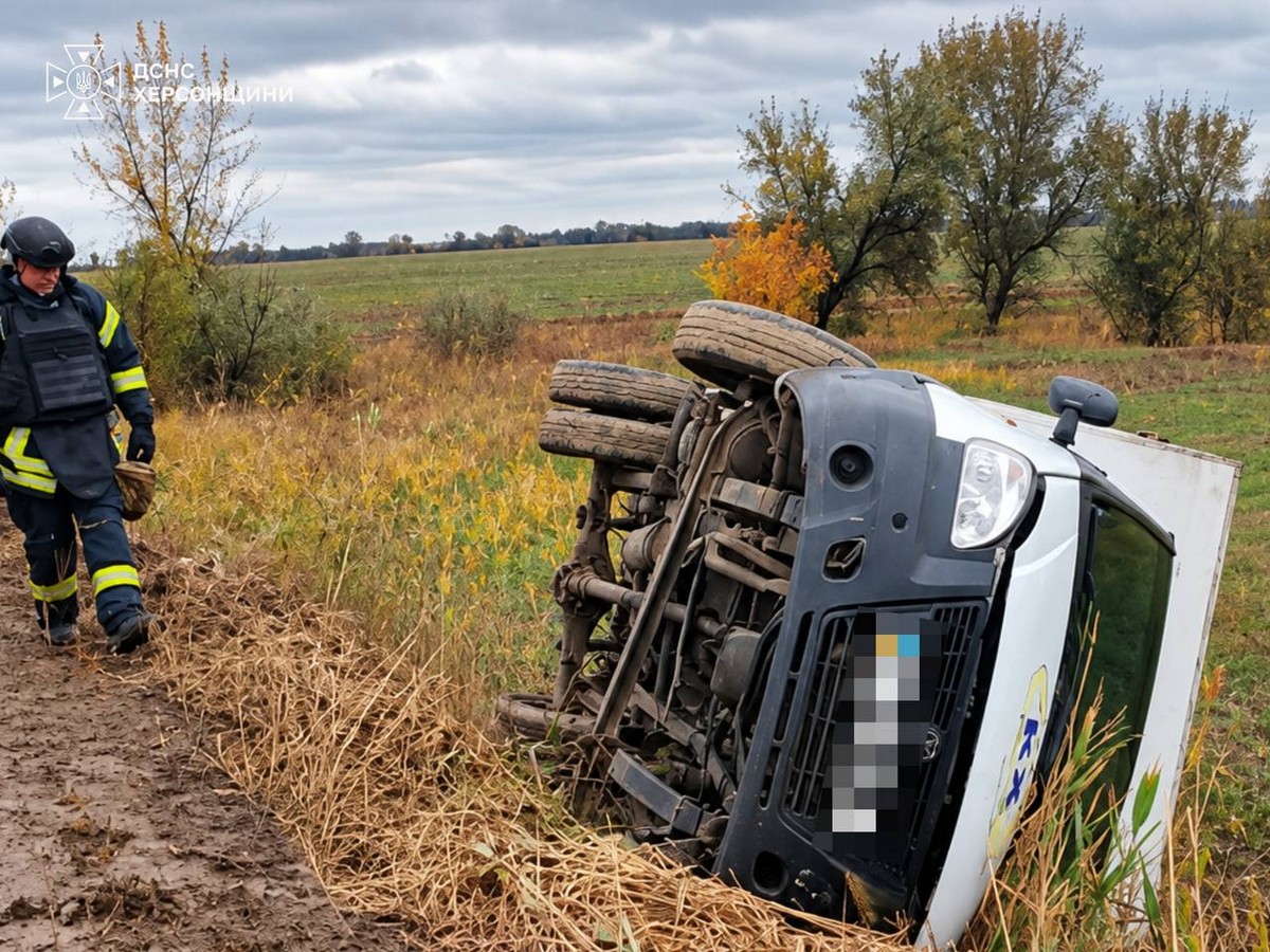 У Бериславському районі хлібовозка перекинулася в кювет (фото)