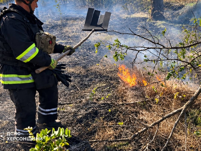 Пожежі на Херсонщині: вигоріло понад два гектари